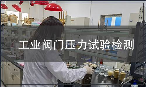 工業(yè)閥門壓力試驗檢測