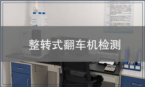 整轉(zhuǎn)式翻車(chē)機(jī)檢測(cè)