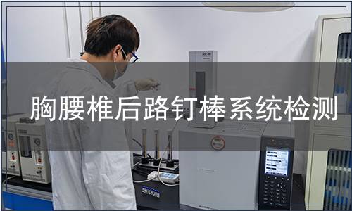 胸腰椎后路釘棒系統檢測