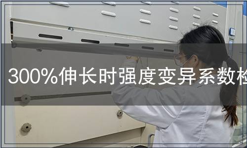 300%伸長(zhǎng)時(shí)強(qiáng)度變異系數(shù)檢測(cè) 300%伸長(zhǎng)時(shí)強(qiáng)度變異系數(shù)檢測(cè)