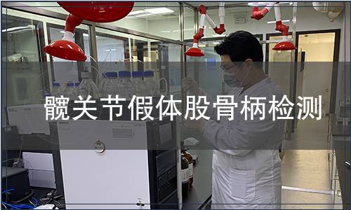 髖關節假體股骨柄檢測