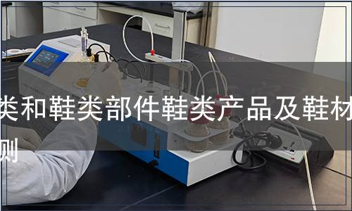 鞋類(lèi)和鞋類(lèi)部件鞋類(lèi)產(chǎn)品及鞋材檢測(cè) 鞋類(lèi)和鞋類(lèi)部件鞋類(lèi)產(chǎn)品及鞋材檢測(cè)