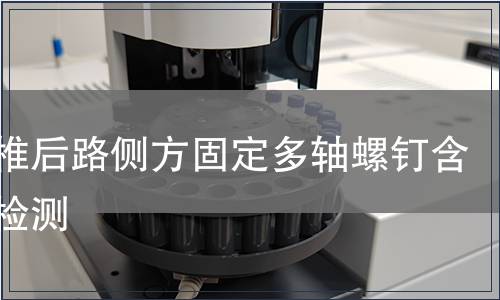 胸腰椎后路側方固定多軸螺釘含附件檢測