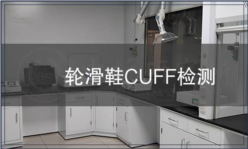 輪滑鞋CUFF檢測