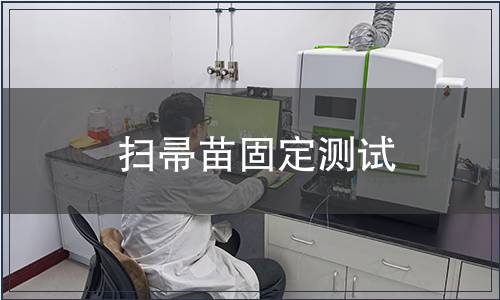 掃帚苗固定測(cè)試