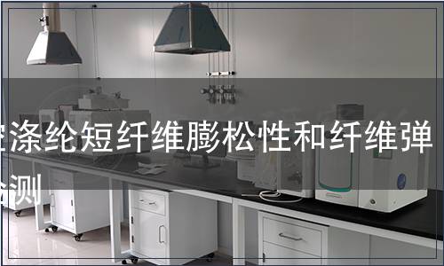 中空滌綸短纖維膨松性和纖維彈性檢測 中空滌綸短纖維膨松性和纖維彈性檢測