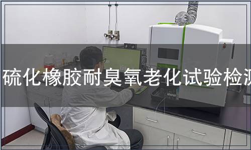 硫化橡膠耐臭氧老化試驗檢測