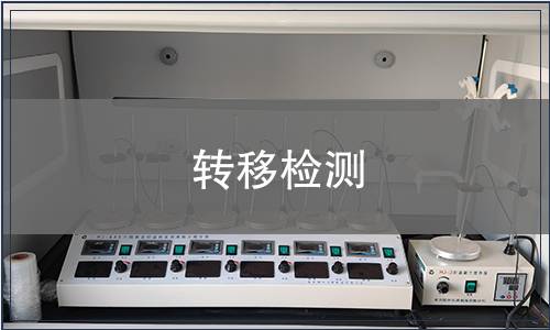 轉移檢測