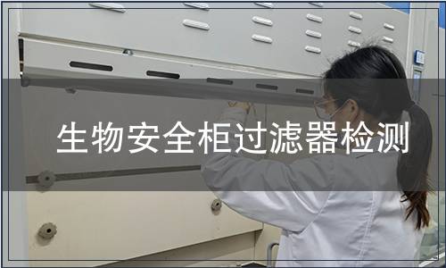 生物安全柜過(guò)濾器檢測(cè)