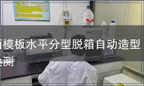 雙面模板水平分型脫箱自動造型線檢測