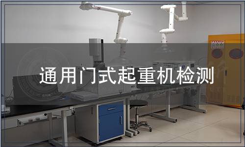 通用門式起重機(jī)檢測