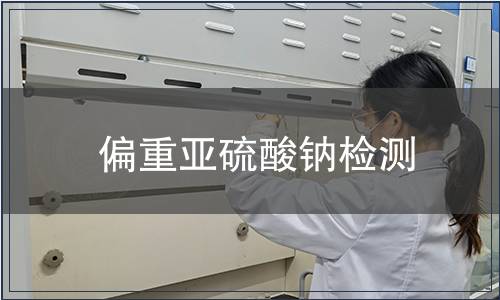 偏重亞硫酸鈉檢測