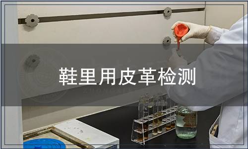 鞋里用皮革檢測