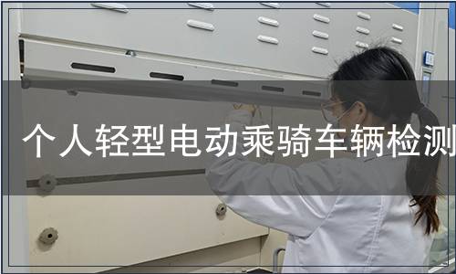 個(gè)人輕型電動(dòng)乘騎車輛檢測(cè)