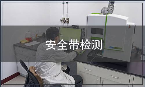 安全帶檢測