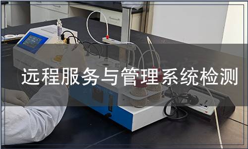遠程服務與管理系統檢測