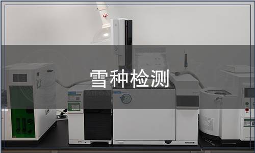 雪種檢測 雪種檢測