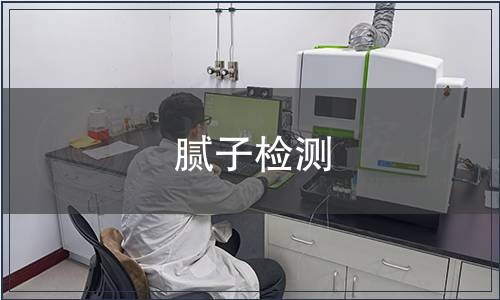 膩子檢測