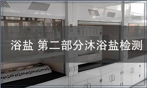 浴鹽 第二部分沐浴鹽檢測