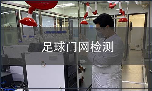 足球門網(wǎng)檢測