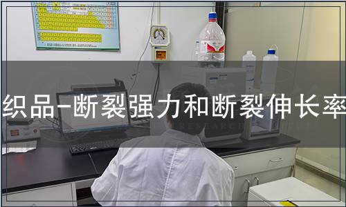 紡織品-斷裂強力和斷裂伸長率檢測