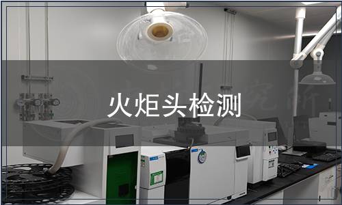 火炬頭檢測