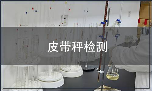 皮帶秤檢測(cè)