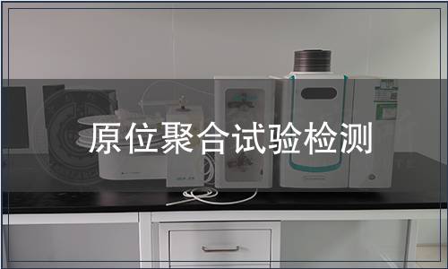 原位聚合試驗檢測 原位聚合試驗檢測