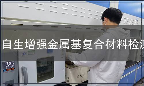 自生增強金屬基復合材料檢測