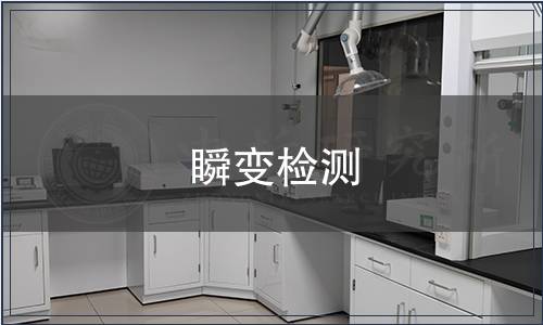 瞬變檢測 瞬變檢測