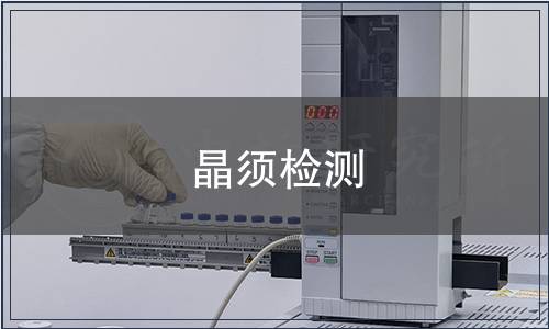 晶須檢測 晶須檢測