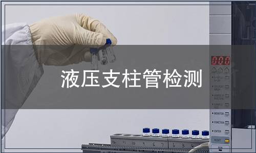 液壓支柱管檢測