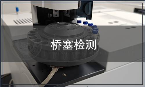 橋塞檢測