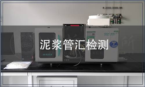 泥漿管匯檢測