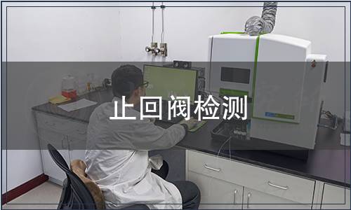 止回閥檢測(cè) 止回閥檢測(cè)