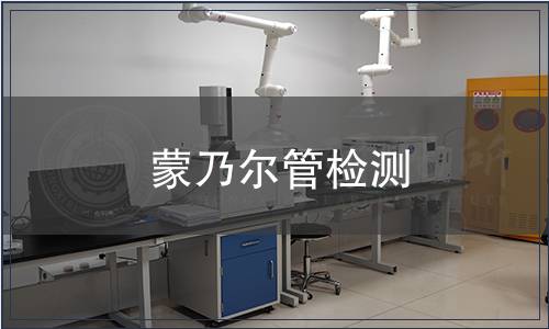 蒙乃爾管檢測