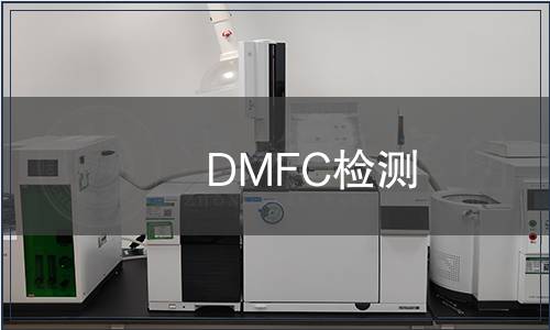 DMFC檢測(cè) DMFC檢測(cè)