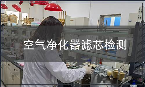 空氣凈化器濾芯檢測